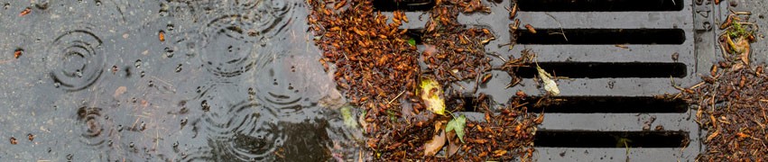 How Can I Keep My Drain Clear of Blockage How Can I Keep My Drain Clear of Blockage